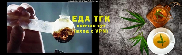 хмурый Новозыбков