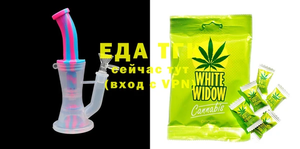 хмурый Новозыбков