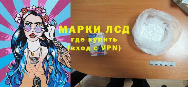 хмурый Новозыбков