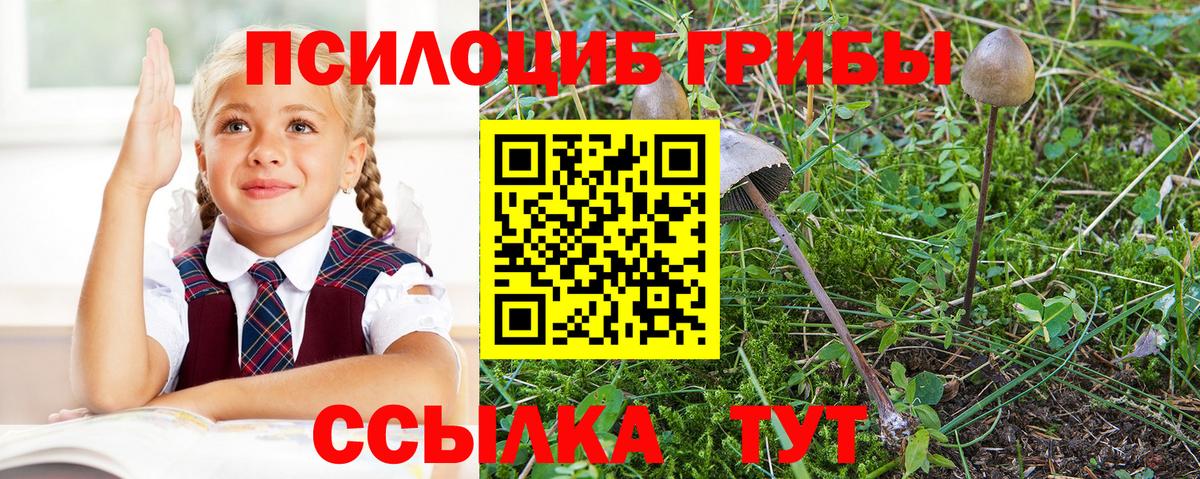 Псилоцибиновые грибы Magic Shrooms  Сорочинск  хочу   Галлюциногенные грибы ЛСД 