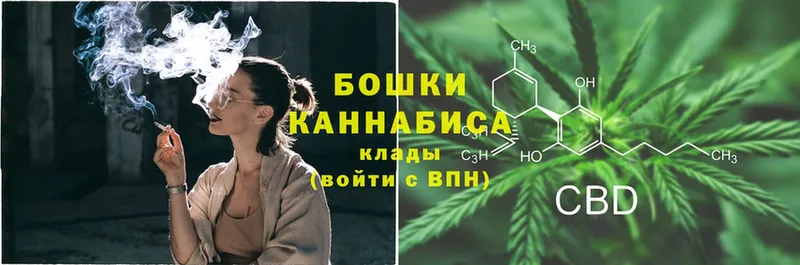 Бошки марихуана OG Kush  hydra ссылки  Сорочинск 